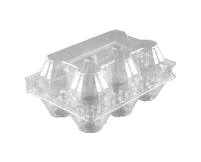 ظروف تخم مرغ