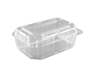 ظروف چند منظوره