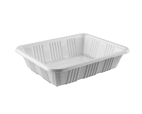 ظروف پروتئین