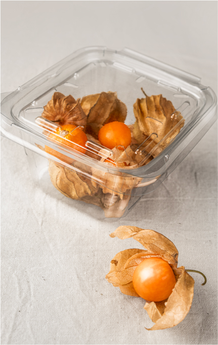 دلی مکعبی ۵۰۰ سی سی پانچدار